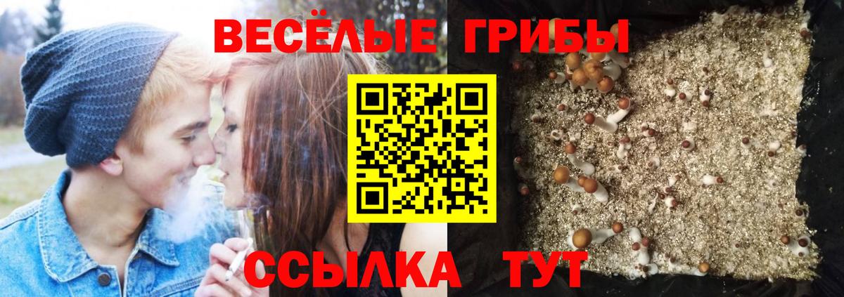 Псилоцибиновые грибы мухоморы Рославль